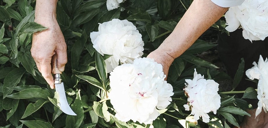 Co dělat se zahradou na jaře - BE-READY.CZ