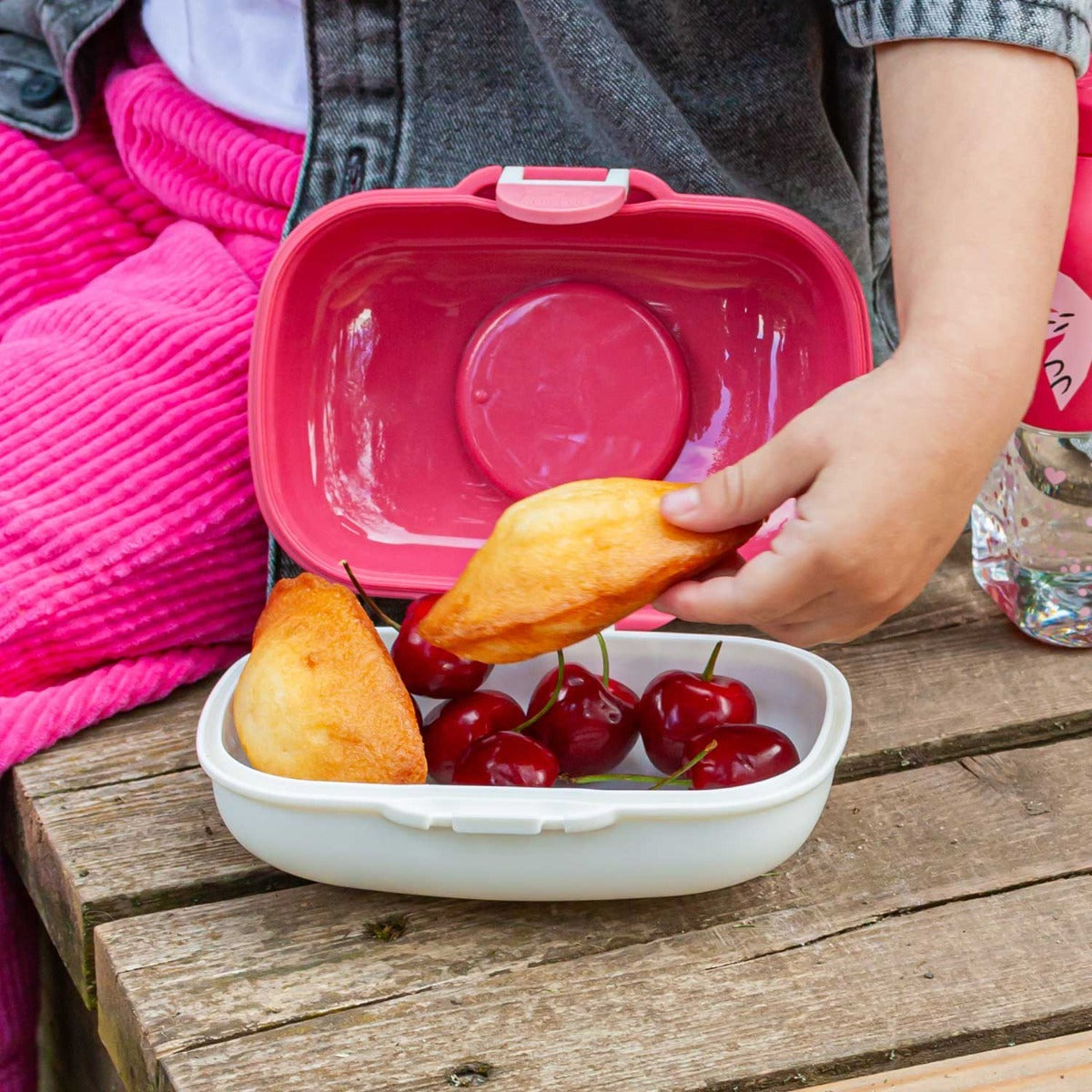 Monbento Gram children's snack box 0,6 l, pink birds, 16014121