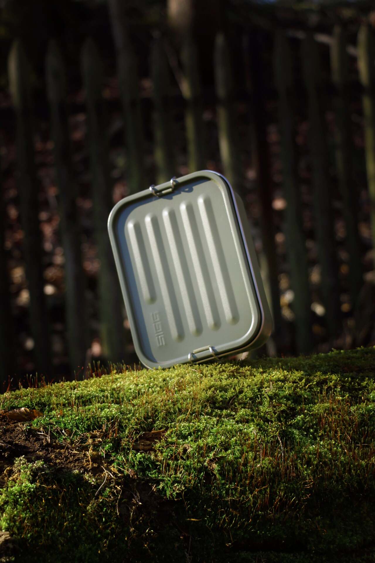 Sigg Gemstone lunch box 1.1 l, roasted green, 6171.30