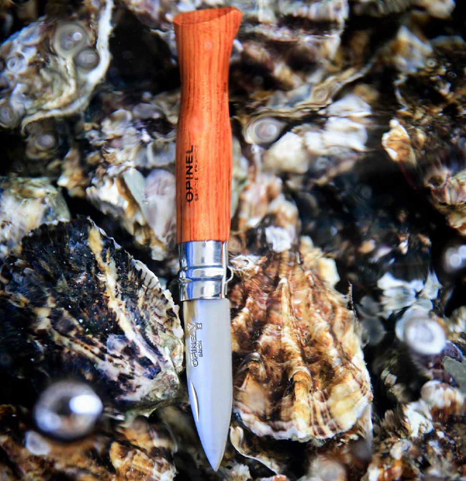 Opinel Nomad N°09 oyster knife 6.5 cm, 001616