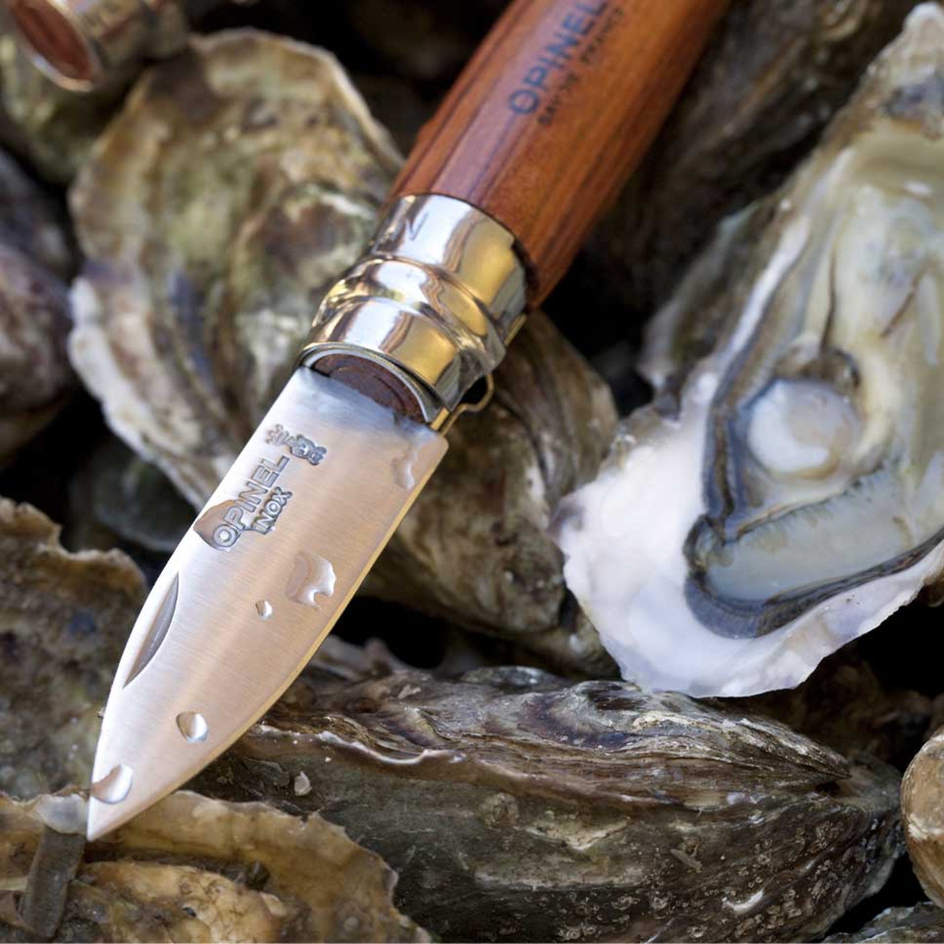 Opinel Nomad N°09 oyster knife 6.5 cm, 001616