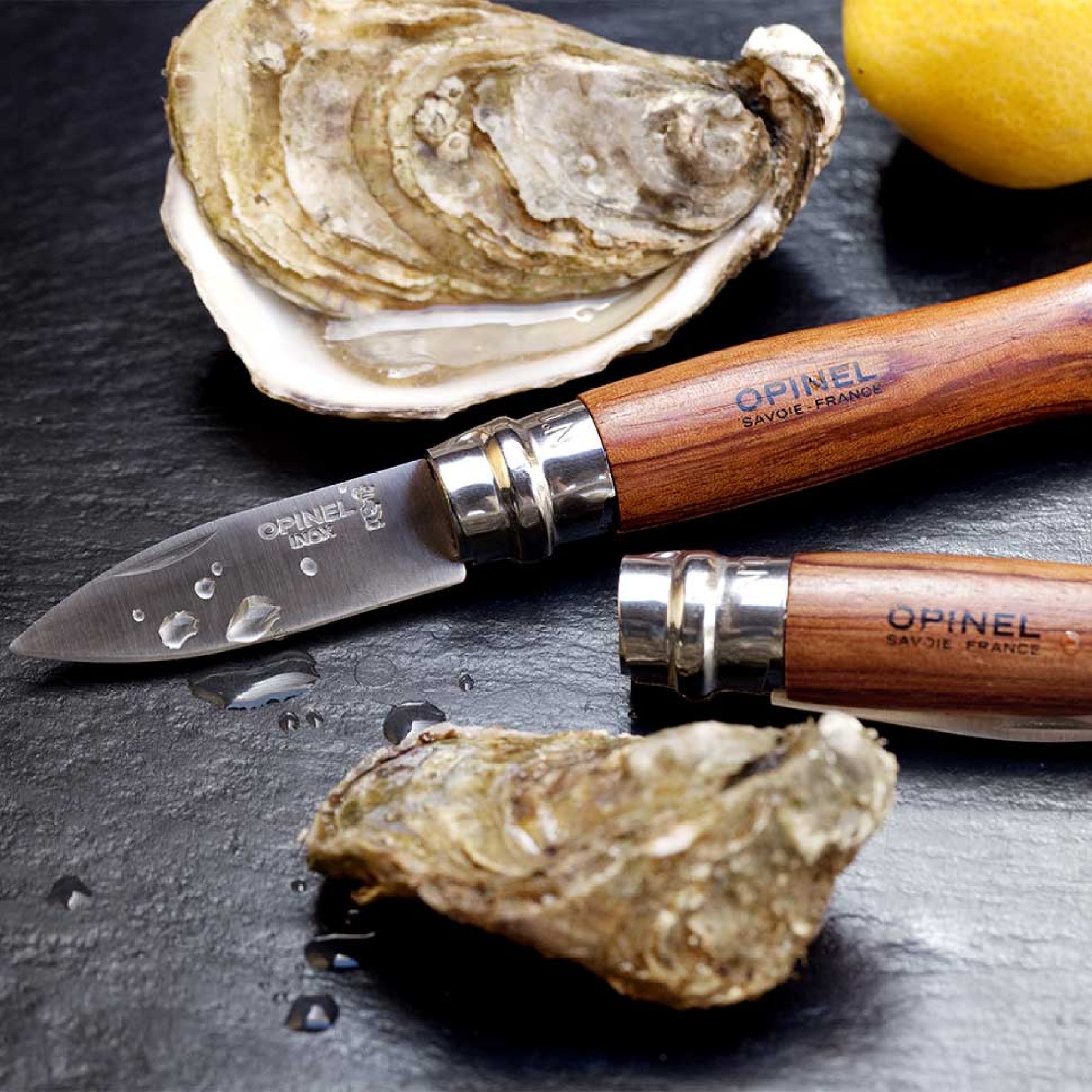 Opinel Nomad N°09 oyster knife 6.5 cm, 001616