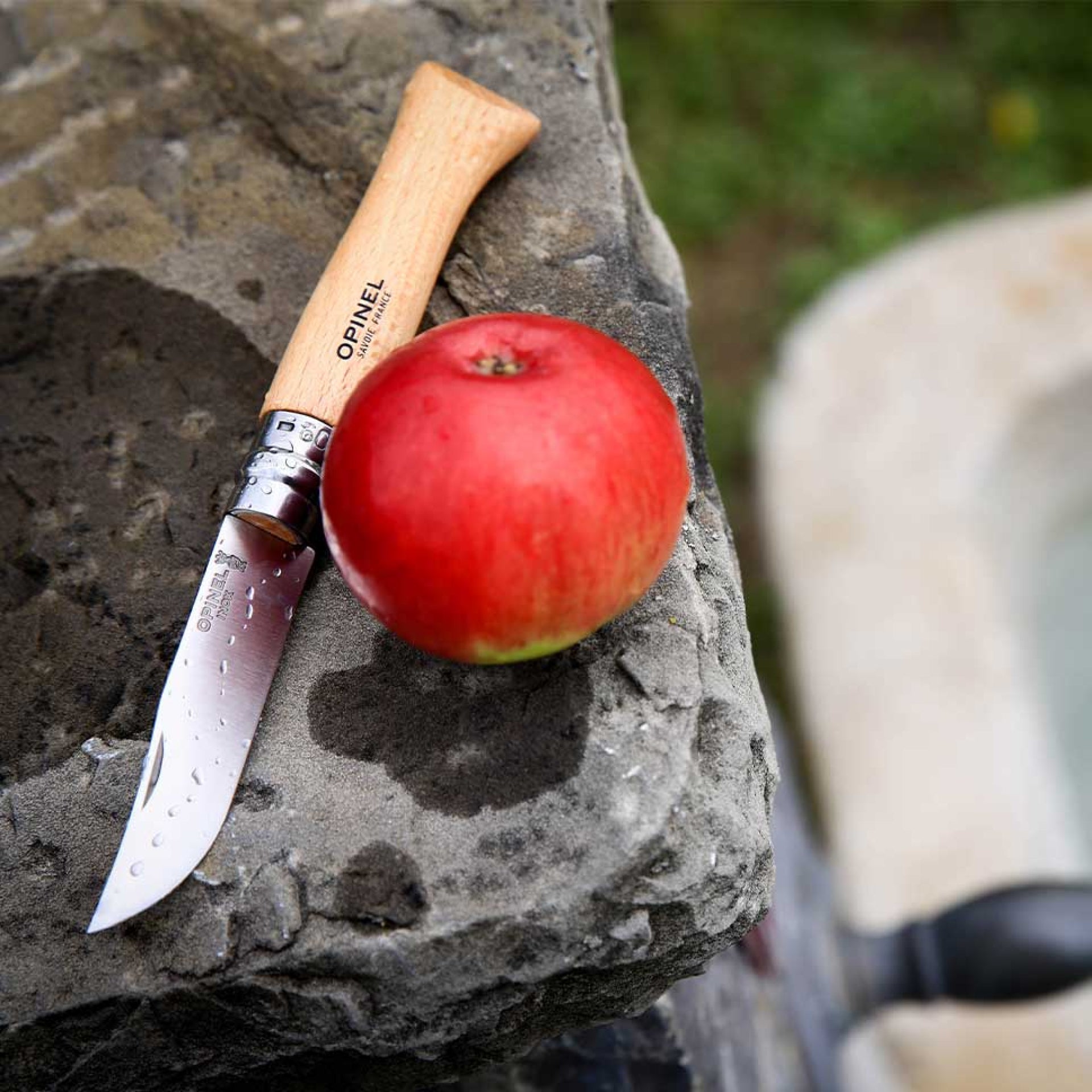 Opinel Inox N°09 folding knife 9 cm, 001083