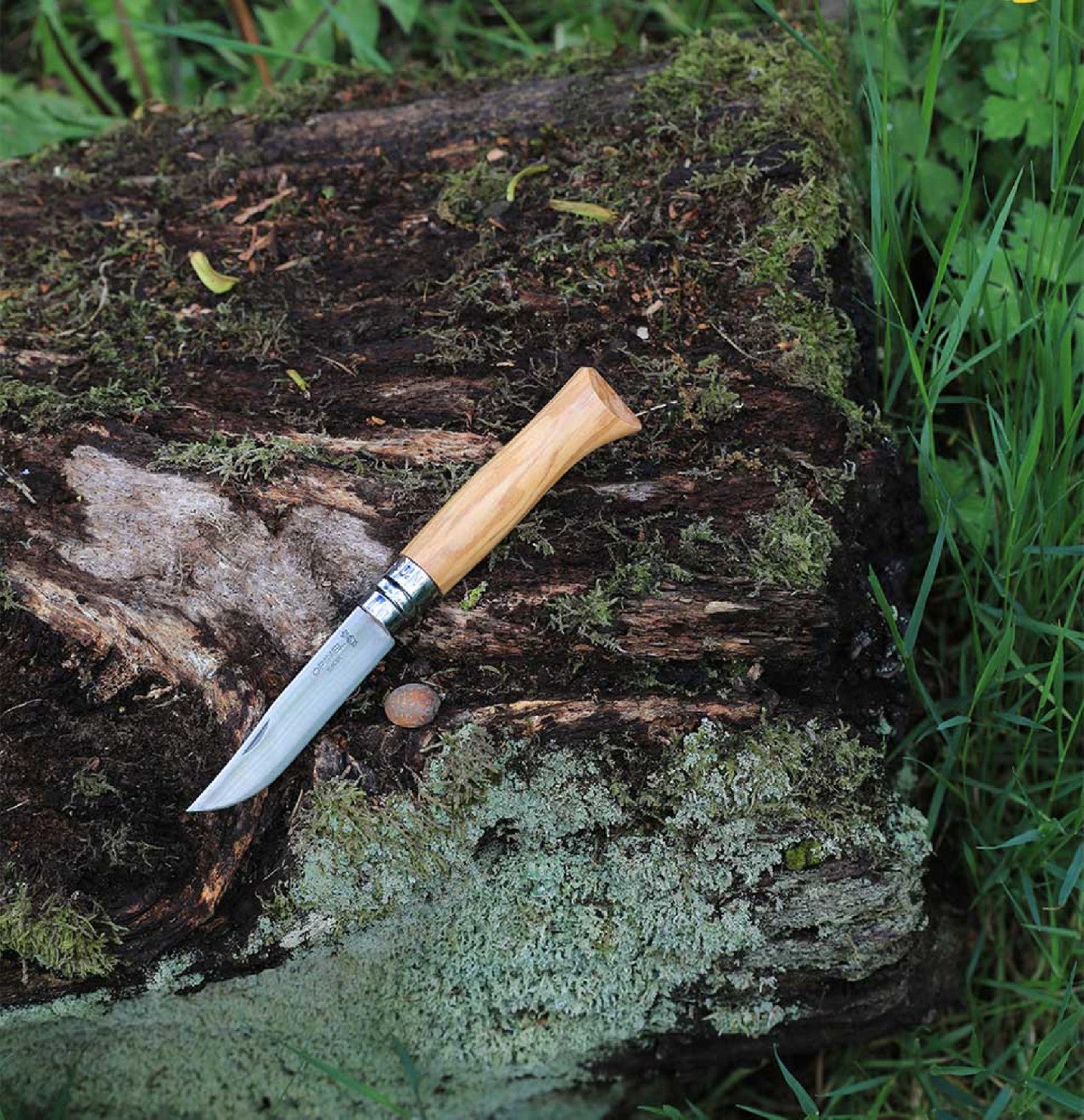 Opinel Olive Wood N°08 folding knife 8.5 cm, 002020
