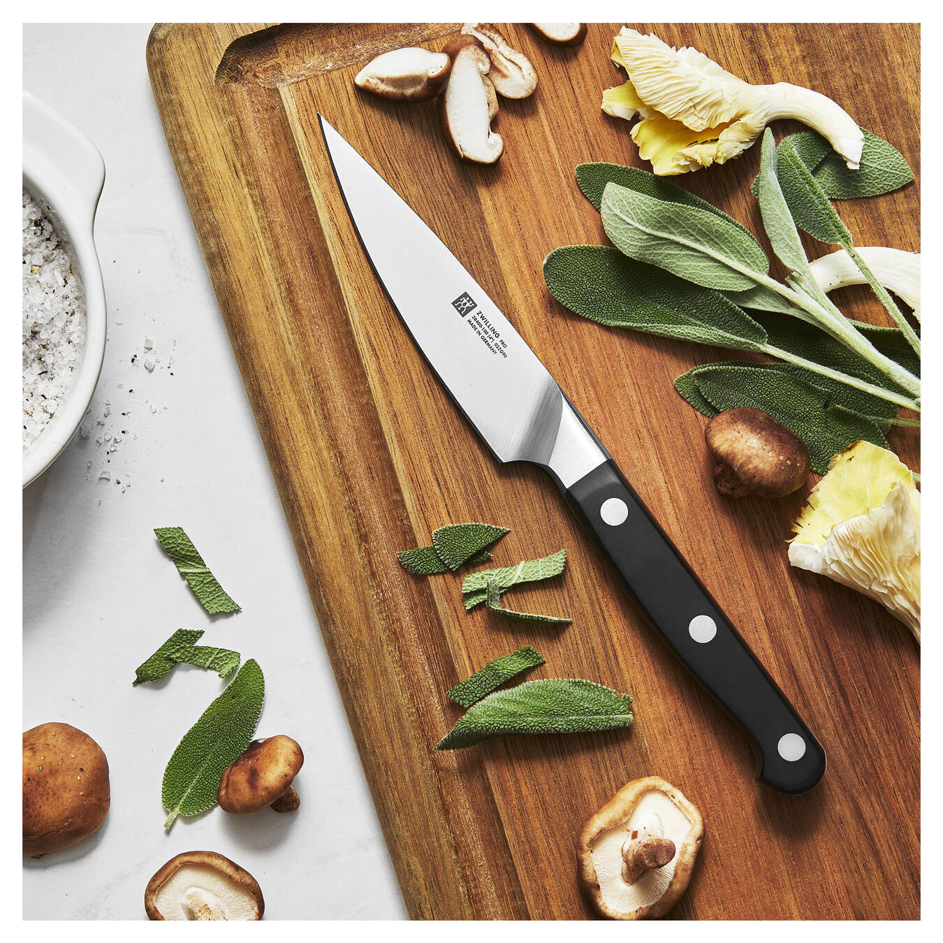 Zwilling Pro paring knife 10 cm, 38400-101