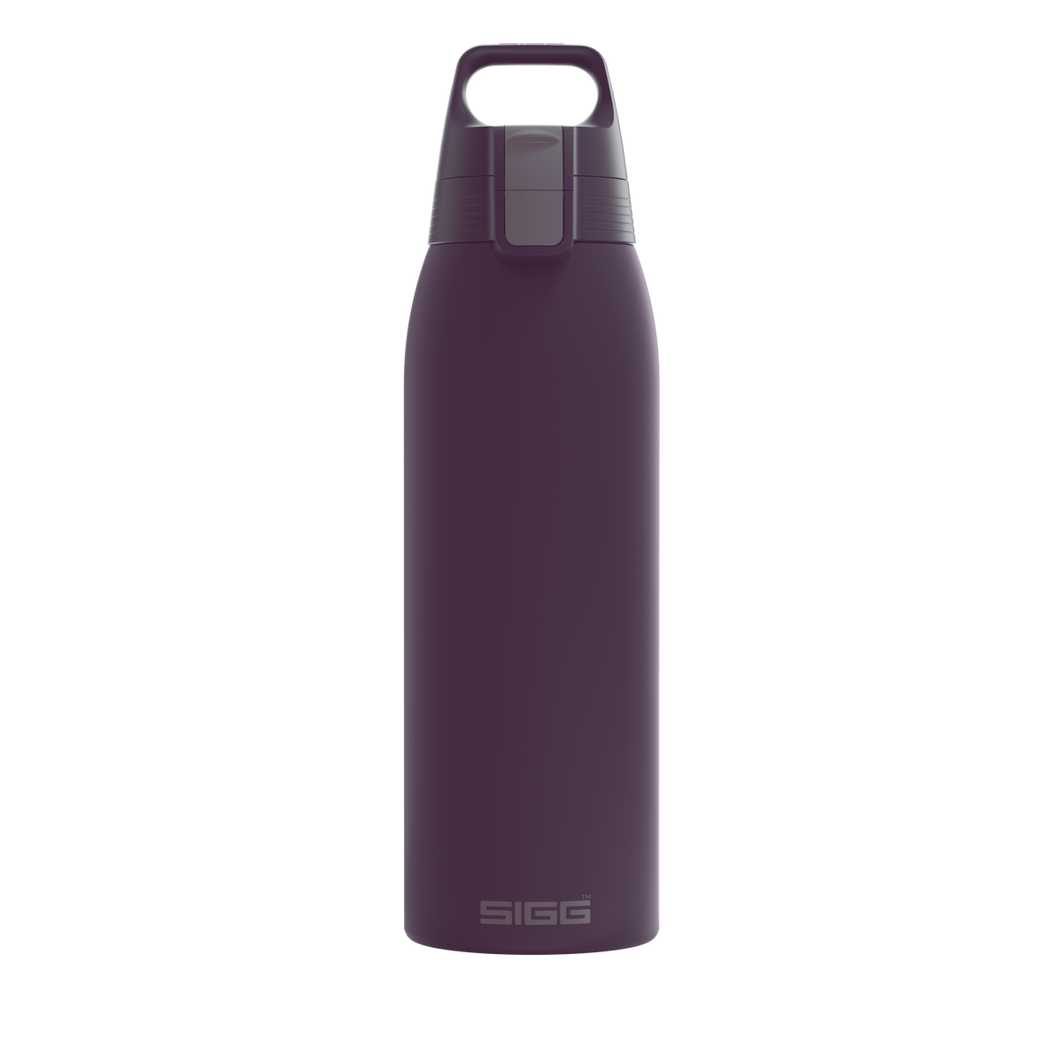Sigg Shield Therm One stainless steel drinking bottle 1 l, nocturne, 6021.90