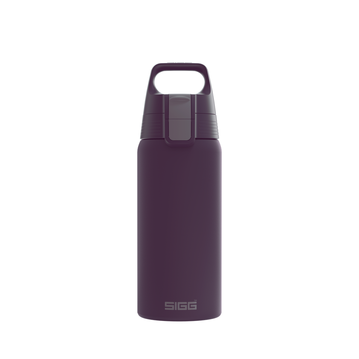 Sigg Shield Therm One stainless steel drinking bottle 500 ml, nocturne, 6022.50