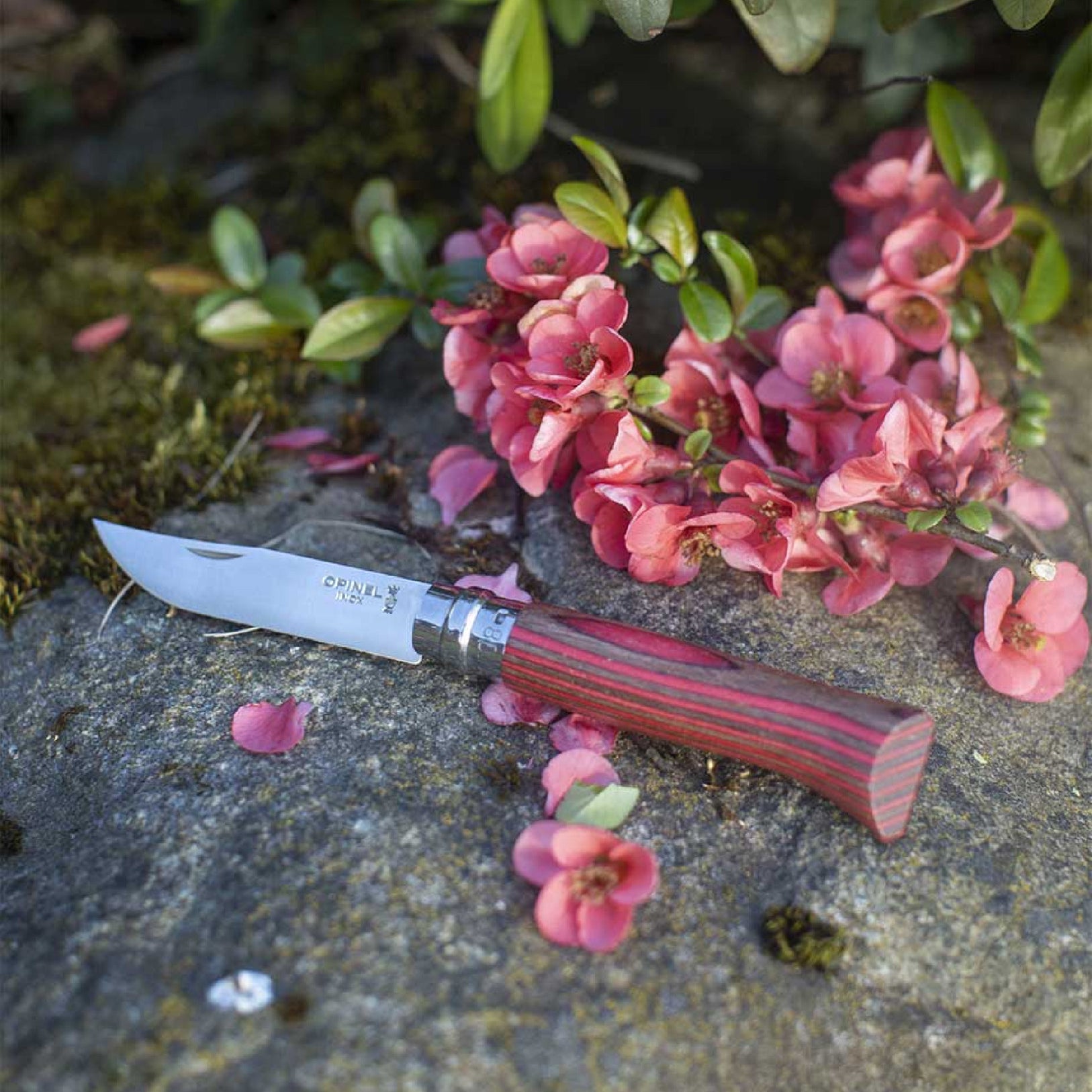Opinel Laminovaná breza N°08 Fínska breza 8,5 cm, červená, 002390