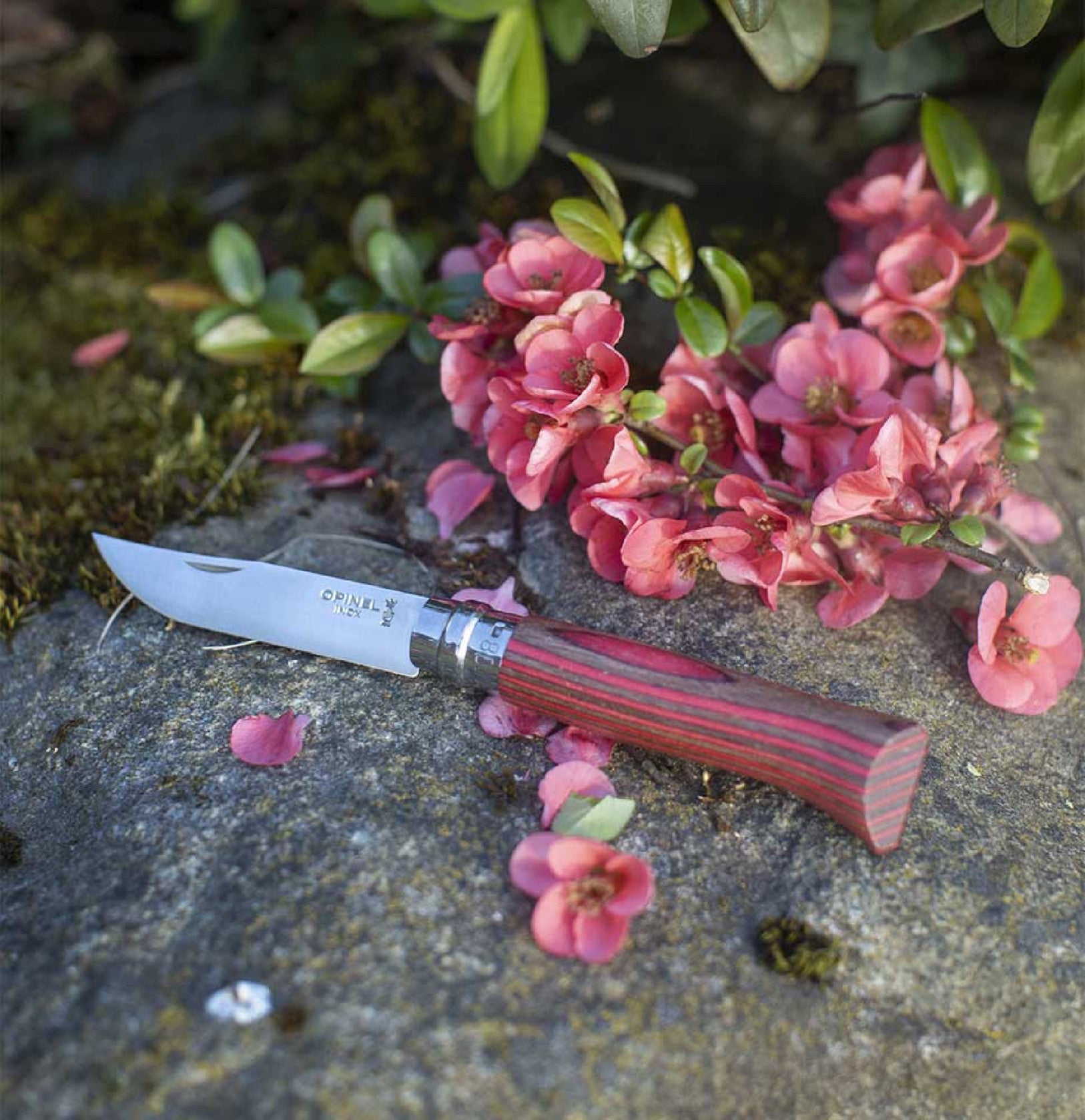 Opinel Laminated Birch N°08 Finnish birch 8,5 cm, red, 002390