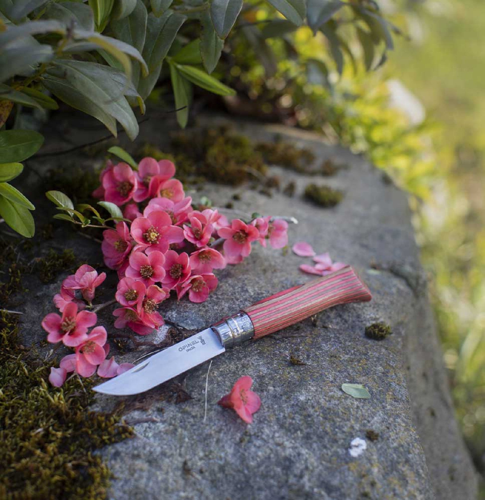 Opinel Laminated Birch N°08 Finnish birch 8,5 cm, red, 002390