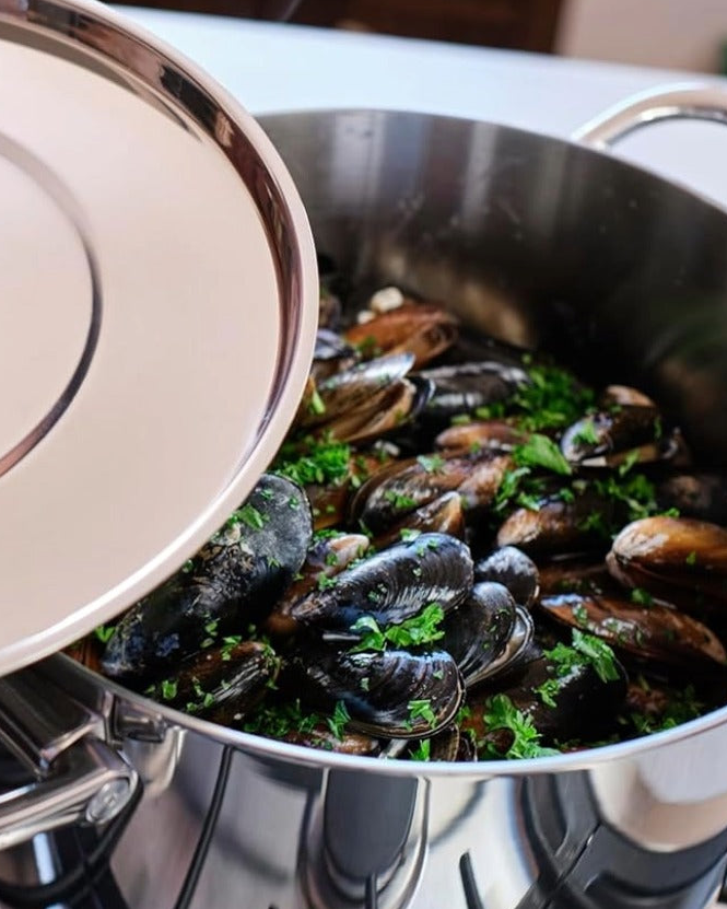 Pressure cookers