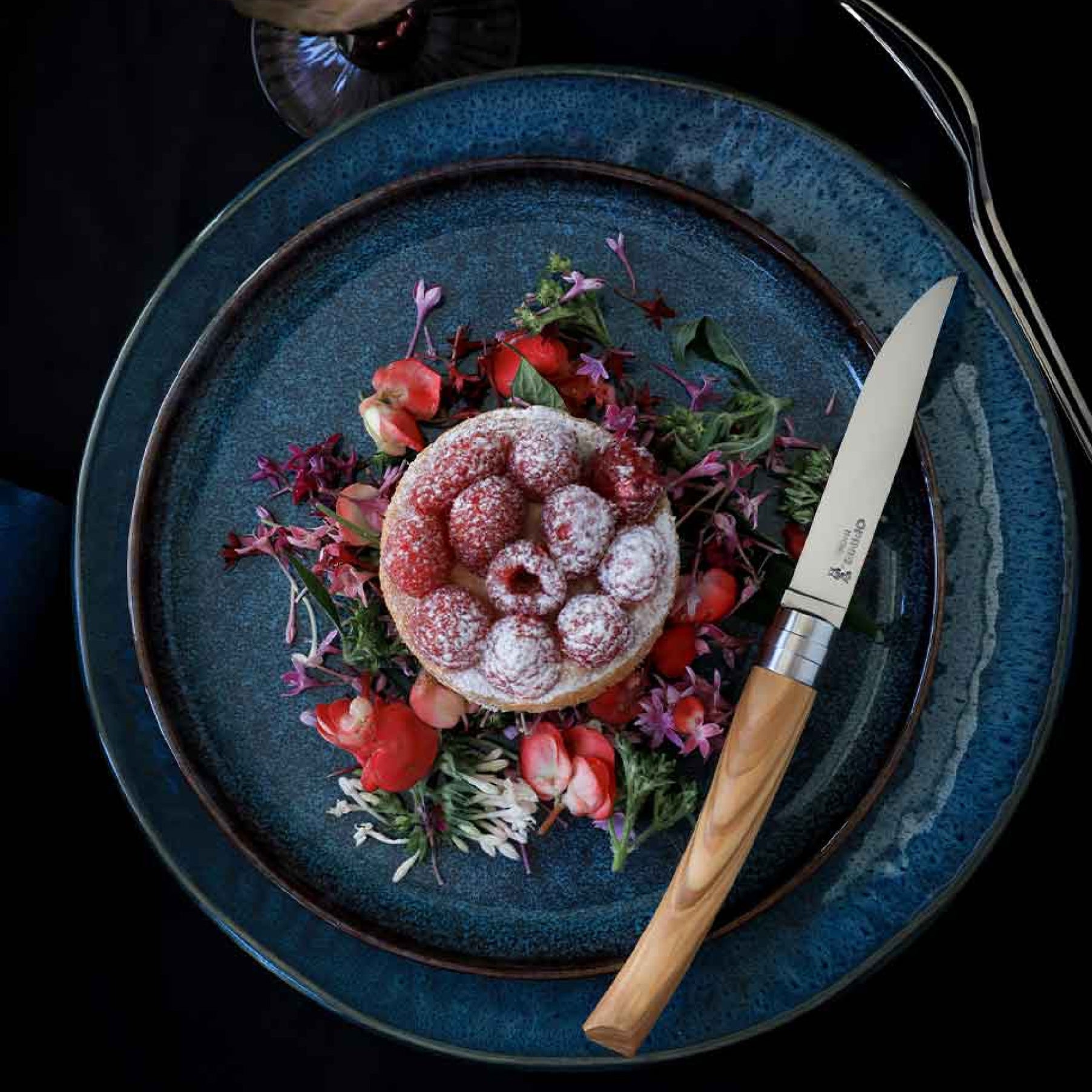 Opinel Table Chic sada 4 steakových nožov, olivová farba, 002481