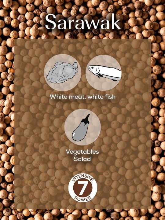 Peugeot Bílý pepř Sarawak 4 x 20g, 42424