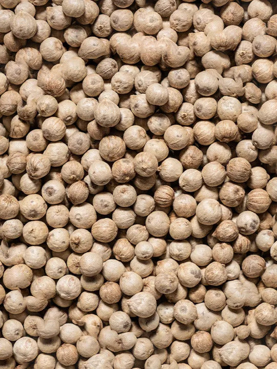 Peugeot White pepper Sikara Premium 3 x 20g, 42486