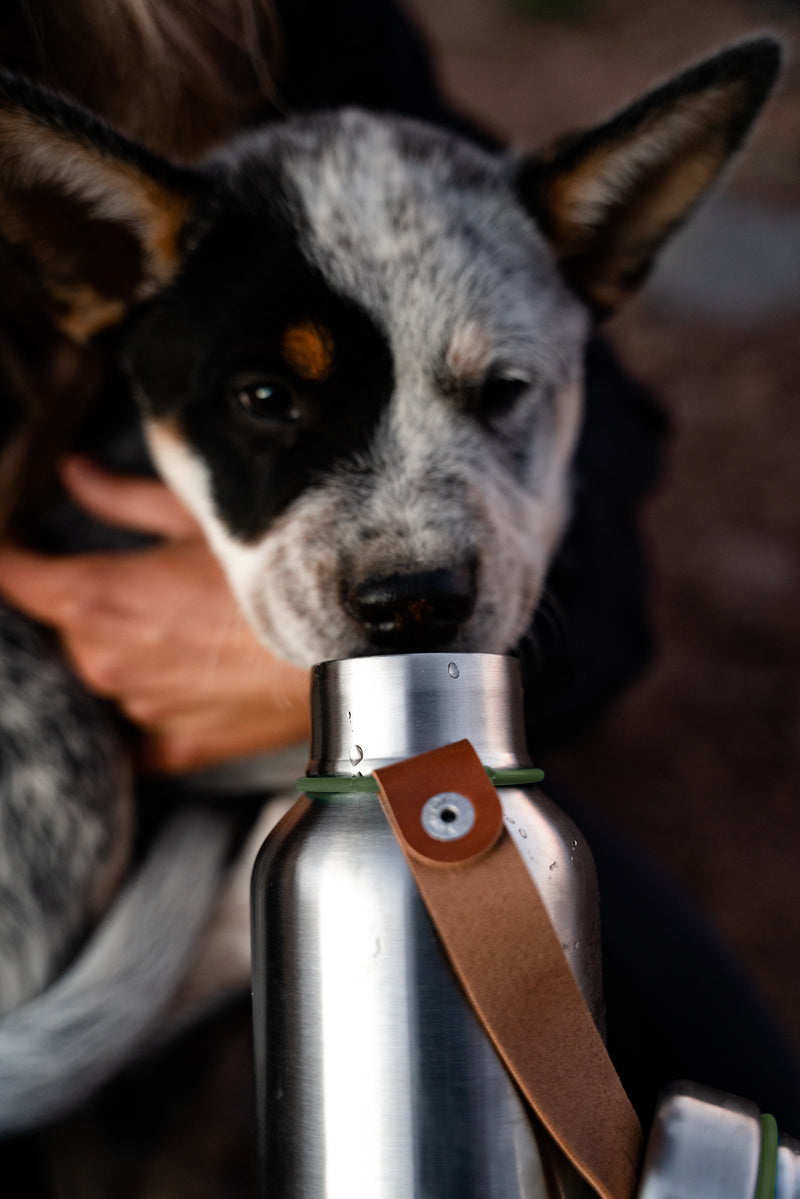 Black+Blum stainless steel thermo bottle 750 ml, olive, BAM-IWBB-L010