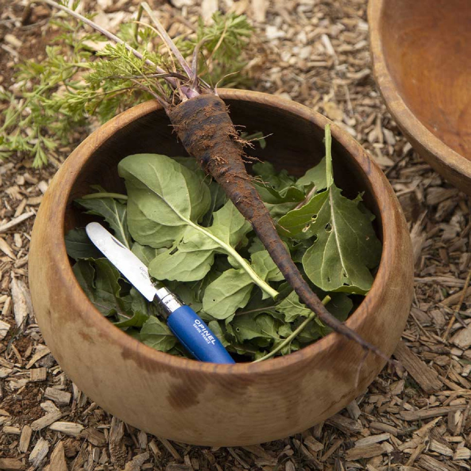 Opinel My First Opinel N°07 closing knife 8 cm, blue, 002215