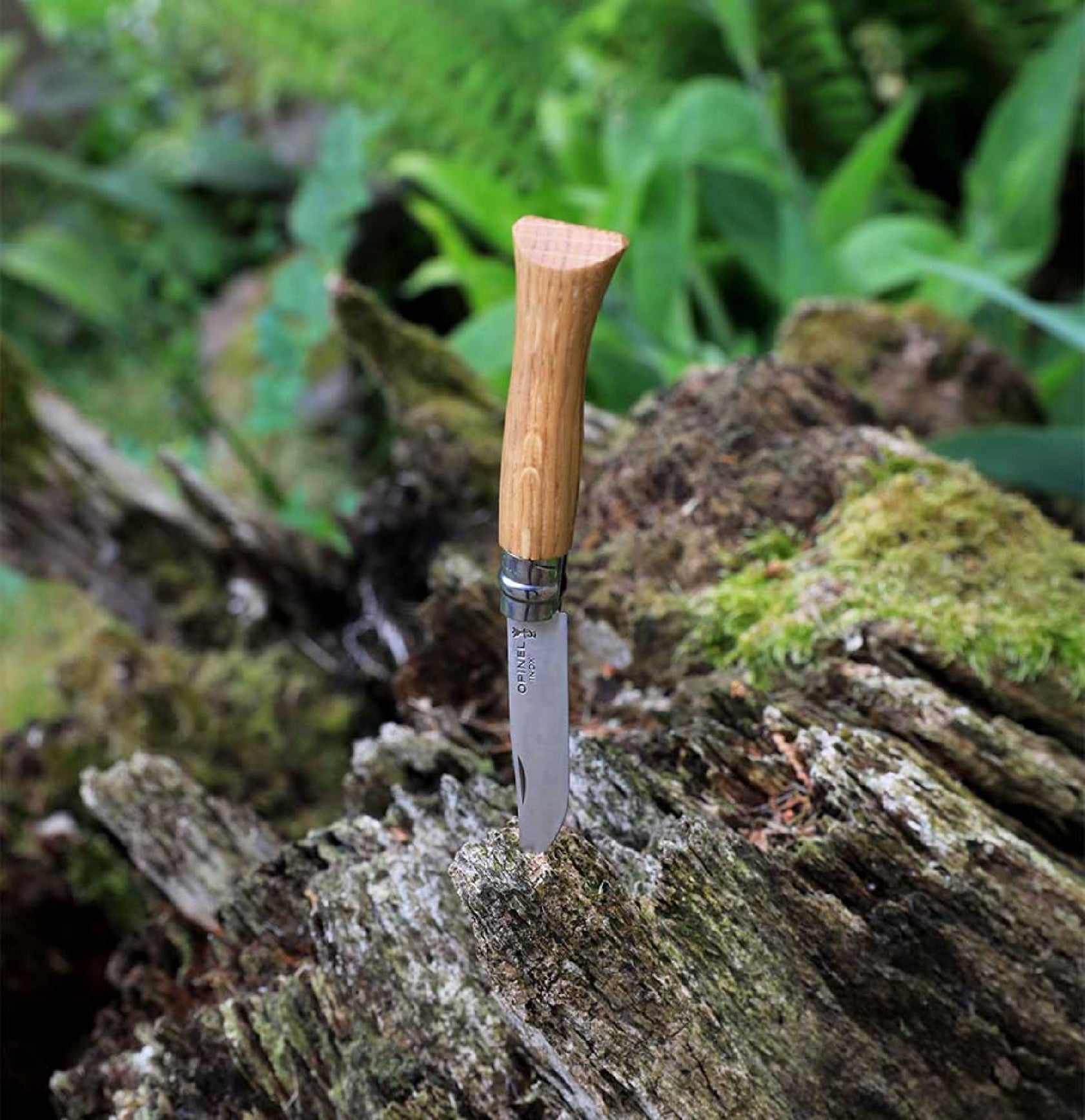 Opinel Oak Wood N°09 closing knife 9 cm, 002424
