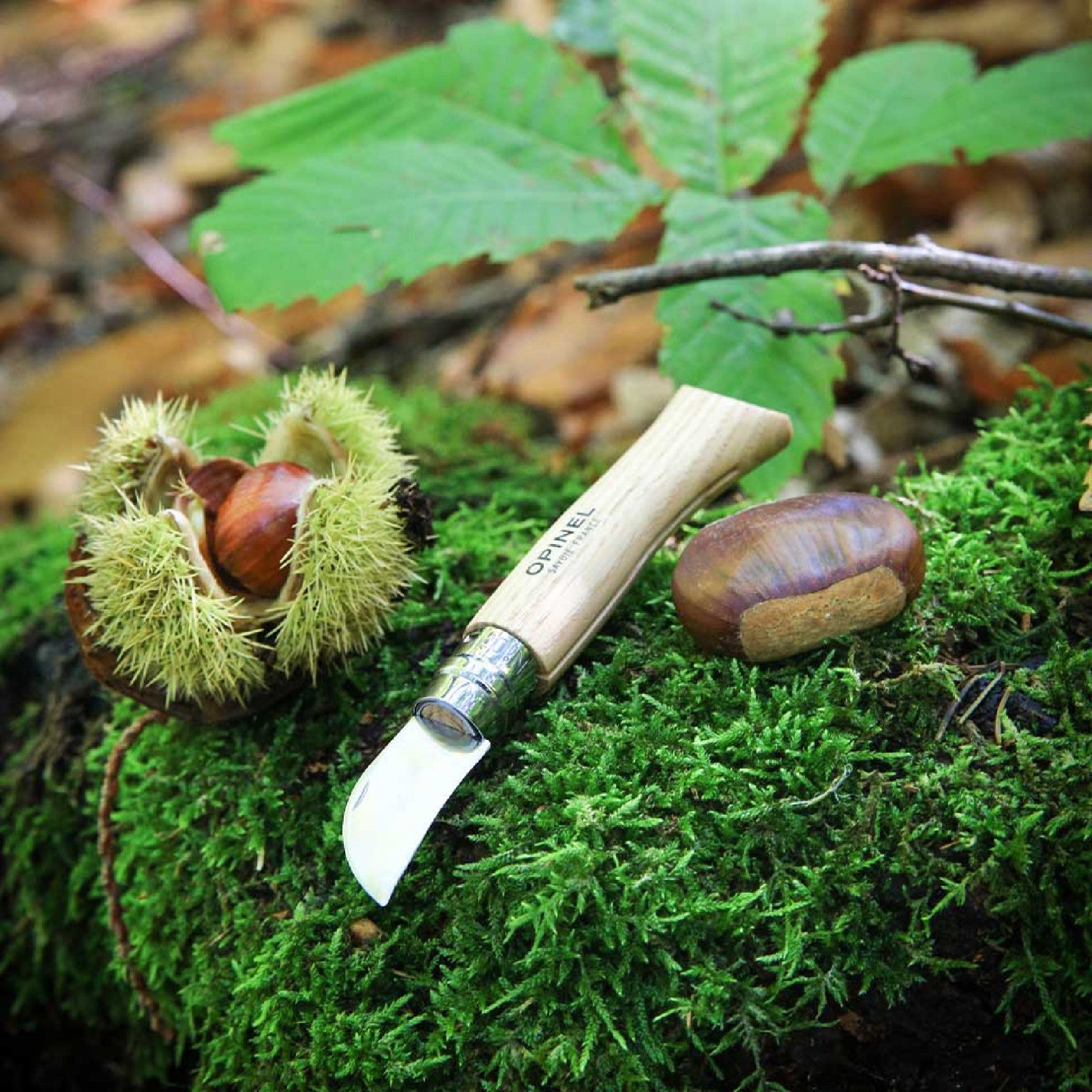 Opinel Nomad N°07 Chestnut and garlic knife 4 cm, 002360