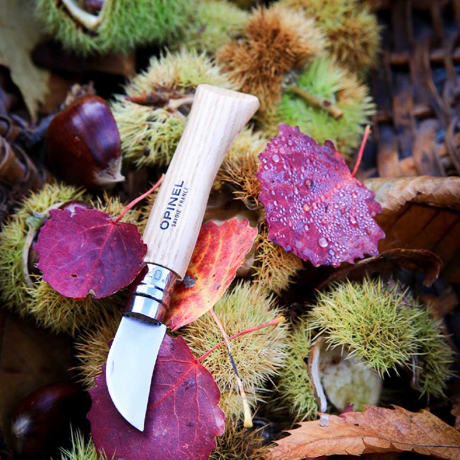 Opinel Nomad N°07 Chestnut and garlic knife 4 cm, 002360