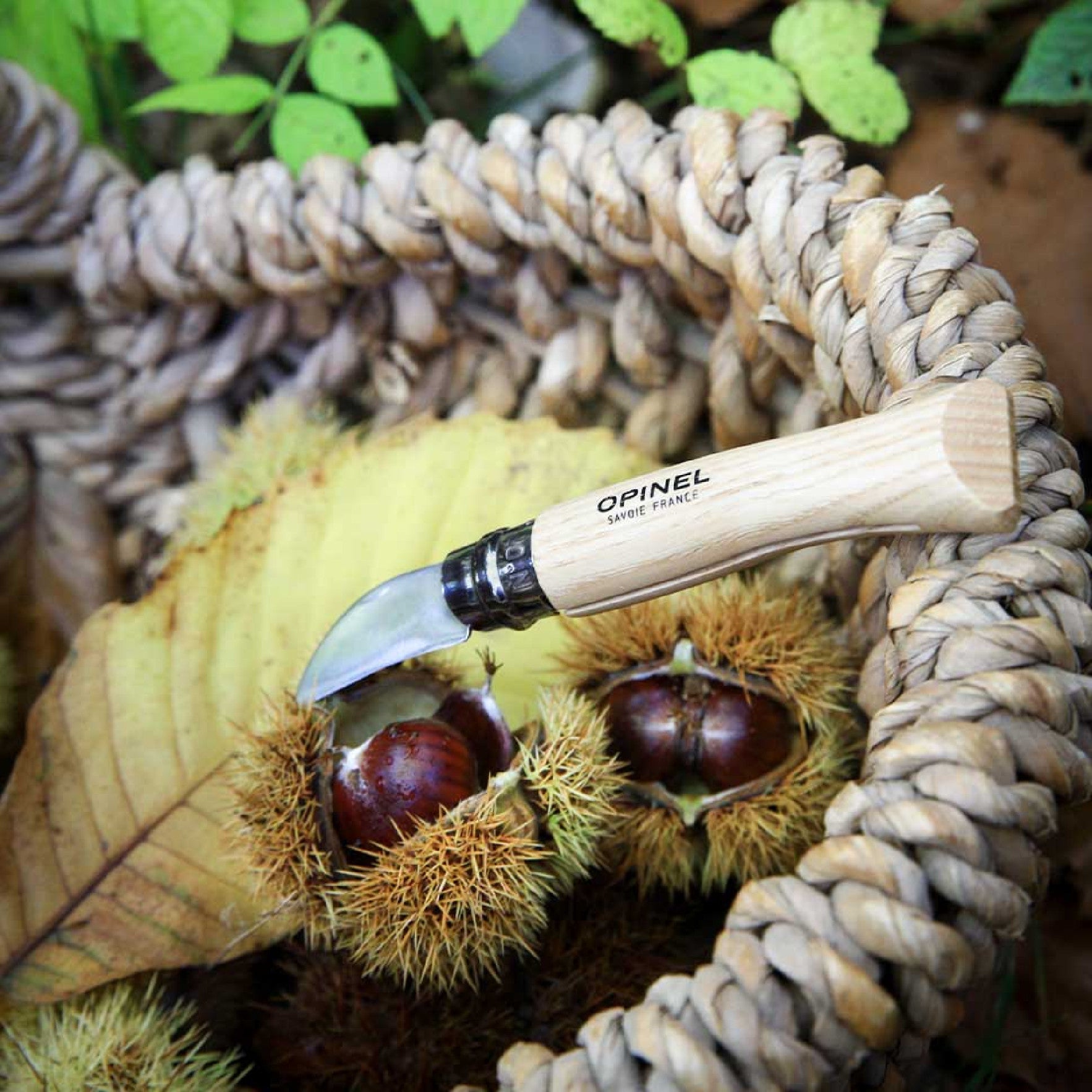 Opinel Nomad N°07 Chestnut and garlic knife 4 cm, 002360