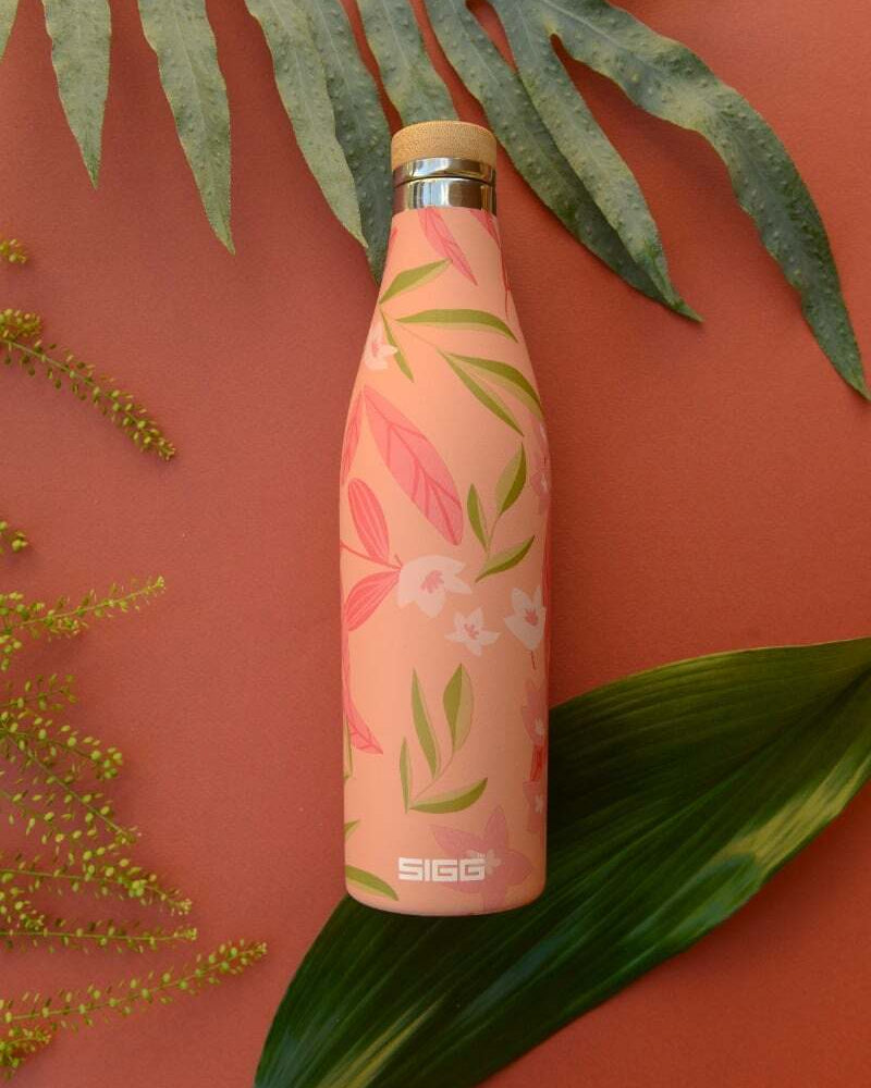 SIGG Meridian