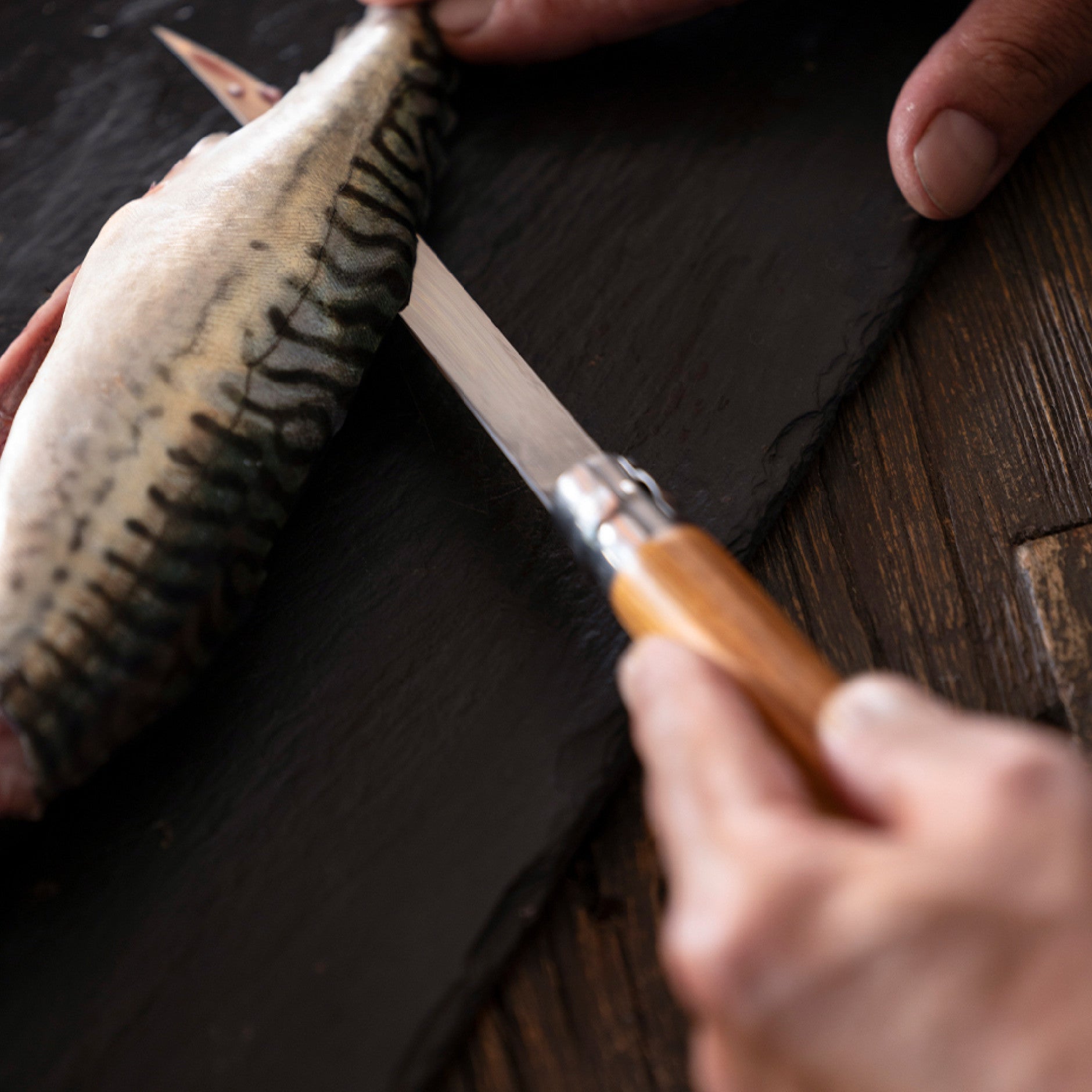 Opinel Effilé Olive N°15 closing knife 15 cm, 002608